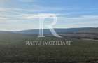 Teren extravilan de vanzare 3.900mp | Mierlau | Bihor - 2