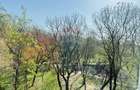 Inchiriez apartament str. Barbu Stefanescu Delavrancea Kiseleff - 16