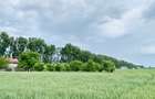 Teren rezidențial langa lac Snagov în Silistea Snagovului ieșire A3 - 2