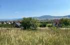 Teren intravilan 1300 mp-Viile cu Pomi-Unirea-Exclusiv - 7