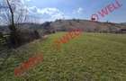 Teren de vânzare în Sita Buzăului! - 7