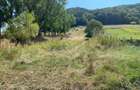 Teren intravilan 2600 mp - pretabil casa/investitie-Zona Aerodrom - 8