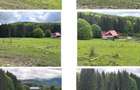 Teren intravilan - 5000 mp, Valea Doftanei - 2