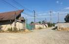 Halǎ industrialǎ + platformǎ betonatǎ, zona Sud - 5