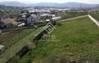 Teren de vanzare 10 ari - zona LEONI - 6