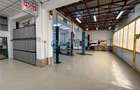 Royal Imobiliare - Spatiu industrial - service auto - 5