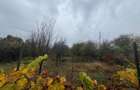 COMISION 0% | 2 Case Individuale | Zona Freidorf | 5 Camere | - 22