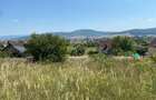 Teren intravilan 1300 mp-Viile cu Pomi-Unirea-Exclusiv - 2