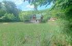 RECO, Cabana pe apa in Padurea Neagra, Bihor - 1