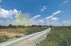 Vânzare teren 7567 mp, parcelabil, în Măgurele - 6