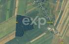 20 Ha Padure stejar la 10 km de Pitești - 3