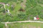 Teren intravilan, 6700 mp,  Curent, Zonă populată, Apuseni, zona Boga