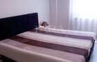 Apartament 2 camere Dambul Rotund - 2