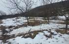Teren 1812 mp, intravilan , Sovata, jud, Mures - 5
