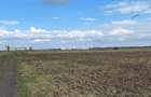 Vânzare teren extravilan 7500 mp, Berceni, Ilfov - 1