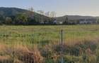 5200 sau 2600 mp teren vanzare,direct proprietar, parcelabil, apropiere Arinis - 3