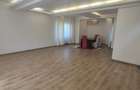 Vila individuala Iancu Nicolae - British School - 13