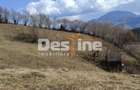 Teren 5000 mp, ideal cabana, pensiune,  in zona de interes  turistic  Rucar-Bran - 4