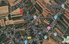 SUPER-PRET Teren 5000mp langa case in Sabareni - 2