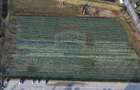 Teren industrial 15.938 MP langa HENKEL cu utlilitati la limita - 11
