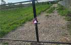 Teren 5600 mp Snagov Lac - 6