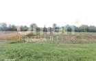 Teren extravilan de 7 arii de vânzare în Cătălina – ideal pentru casă de vacanță - 3