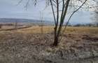 Teren intr-o  zona frumoasa, linistita , Valea Fanatelor, zona cu case - 5