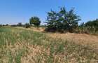 Teren 5.465 mp intravilan și front stradal – Topraisar, Constanța Comision Zero - 14