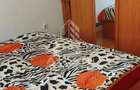 Apartament 2 camere, centrala proprie, zona Medicina Timisoara - 3