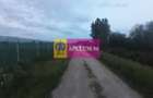 Teren aproape de Bucuresti langa padure - 9