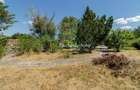 Domeniu privat 5.000 mp, cu reședință de 625 mp și piscină, Corbeanca - 41