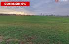 COMISION 0% Teren intravilan industrial 28.395 mp la sosea in Sag  - 8