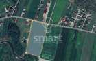 Teren Bistrita Valea Jelnei 19 eur mp - 3