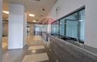 Spațiu de birouri 530 mp de închiriat - Ultracentral - 15