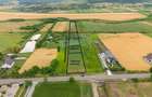 Teren de 10.000 m.p. cu deschidere la DN in Silistea/Todiresti - VS - 1