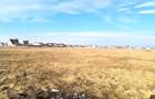 Vanzare teren intravilan Magurele / 2.500 mp / D: 17.55 m - 6