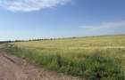 Teren 10 hectare pretabil pt panouri solare-Aricesti Rahtivani - 8