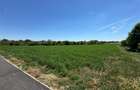 Teren intravilan Zadareni-Bodrogul Nou 8000mp 141m front - Soseaua principala - 1