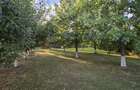 Vila Exclusivista din Cernica - Eleganta, Spatiu si Natura. - 5