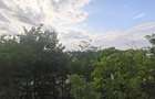 Apartament Zona Shopping City - 8