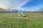 EXCLUSIV | TEREN INTRAVILAN | INVESTIȚIE | BEIUȘ – STR. PLOPILOR | 13.500 MP - 7