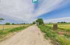 Teren extravilan 5000 mp, Arad - 8