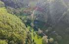 Teren 38,704mp Sirnea | 2.000 mp Intravilan | 36,704 Extravilan - 2
