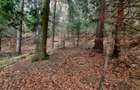 Teren forestier, Alexandru cel Bun (Jud. Neamt) Vadurele 2500 mp , Cod 160694 - 2