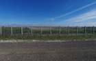 Dumbravita teren industrial 1700 mp 110000 euro - 2