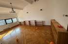 Vilă individuală 17 camere, 850 mp teren | Grădiniță / clinică | Iancu Nicolae - 37