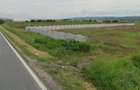 Teren Zona industriala / 2500mp - 1