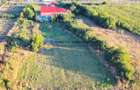 CASĂ + Teren  5.400 mp – Comuna TIMIȘEȘTI - 4