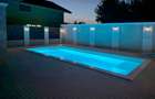 Casa deosebita 4 camere, cu piscina si crama - 9