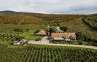 Proprietate istorică , crama +vie DOC + distilerie +loc. evenimente+ 20000 vin - 2